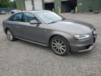 2014 Audi A4 Premium Plus იყიდება Graham-ში, WA - Minor Dent/Scratches