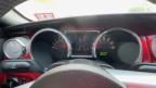 2008 FORD MUSTANG à vendre chez Copart NJ - GLASSBORO EAST