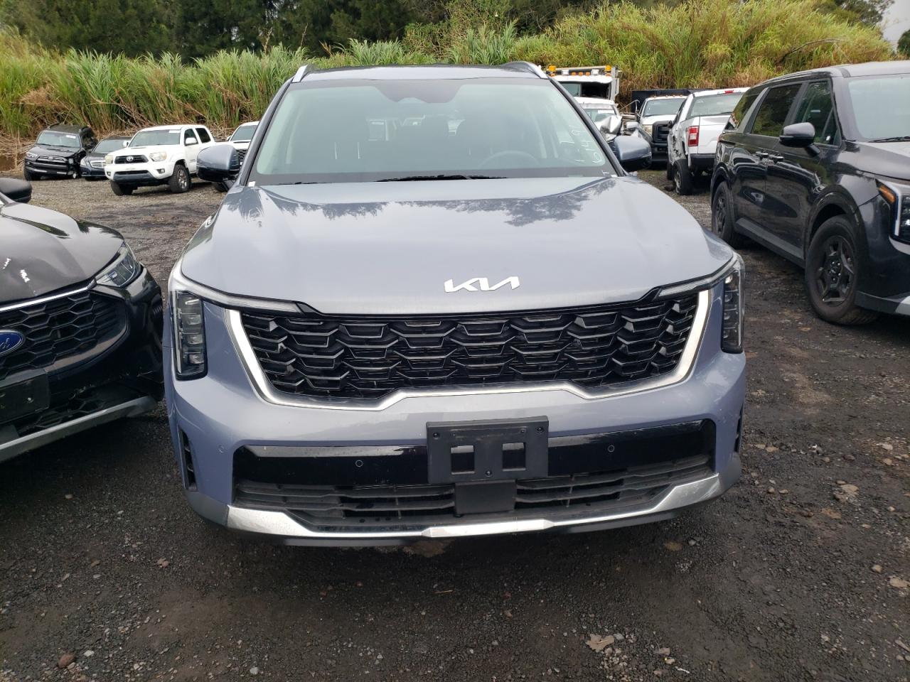 KIA SORENTO 2024 VIN 5XYRL4JC7RG267416 zdjęcie 5