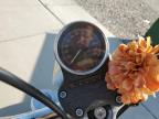 2011 Harley-Davidson Xl883 L for Sale in Farr West, UT - Rear End