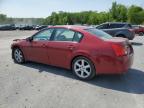 2005 Nissan Maxima Se იყიდება Albany-ში, NY - Front End
