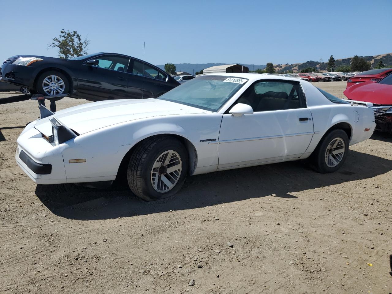 1988 Pontiac Firebird