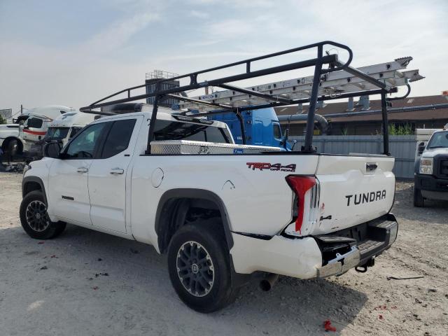  TOYOTA TUNDRA 2023 White