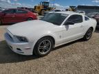 2013 FORD MUSTANG    for sale at Copart AB - EDMONTON