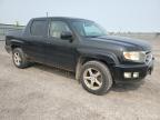 2009 Honda Ridgeline Rtl en Venta en Ottawa, ON - Minor Dent/Scratches
