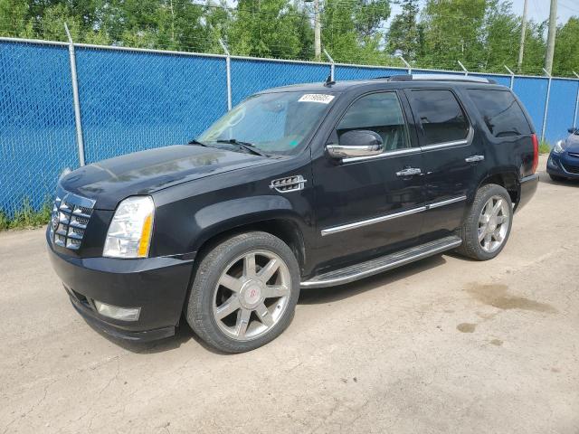 2010 Cadillac Escalade Luxury