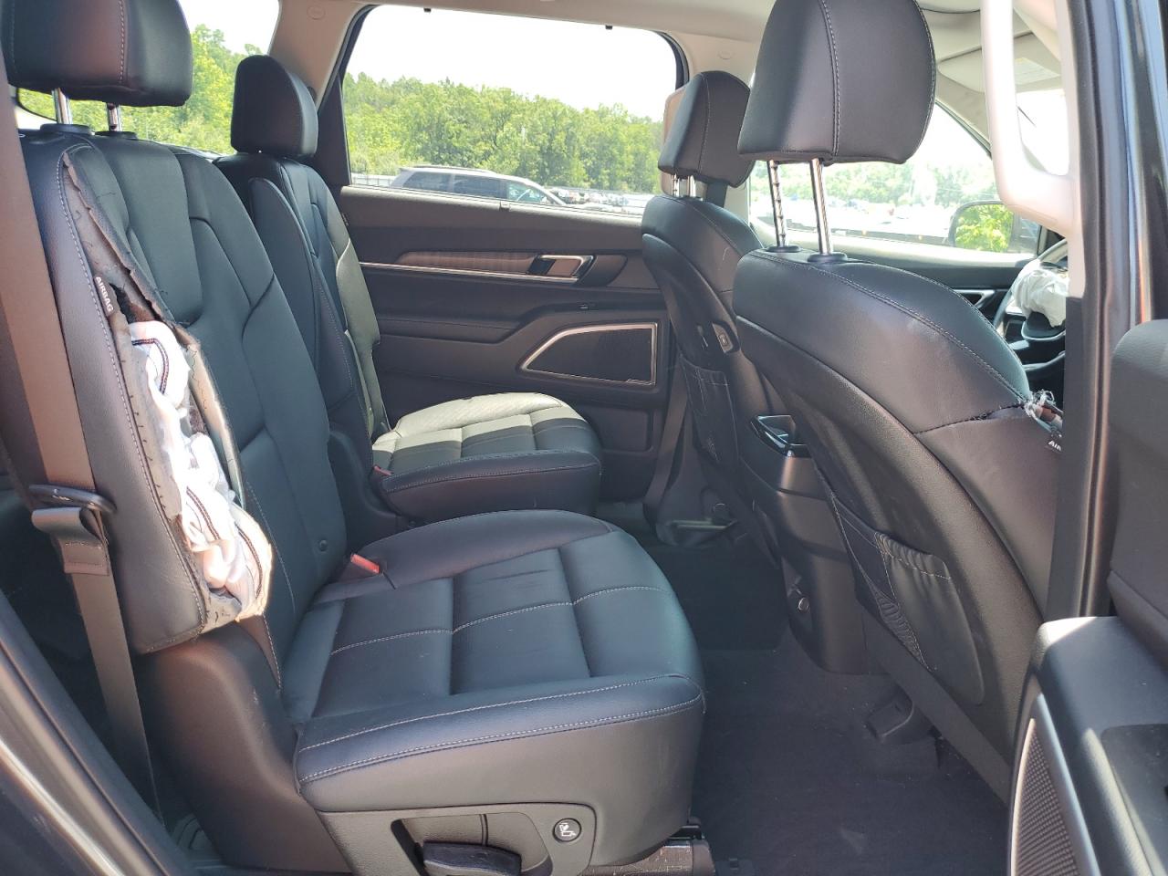 2024 Kia Telluride Ex VIN: 5XYP3DGC0RG483526 Lot: 62360355