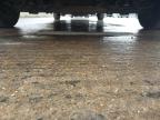 2019 MERCEDES BENZ SPRINTER 3 for sale at Copart YORK