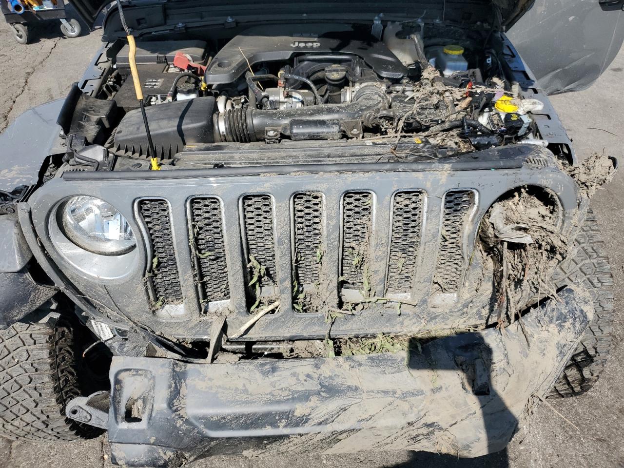 2021 Jeep Wrangler Unlimited Sahara VIN: 1C4HJXEG8MW866532 Lot: 63156915