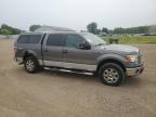 2010 Ford F150 Supercrew for Sale in Columbia Station, OH - Side