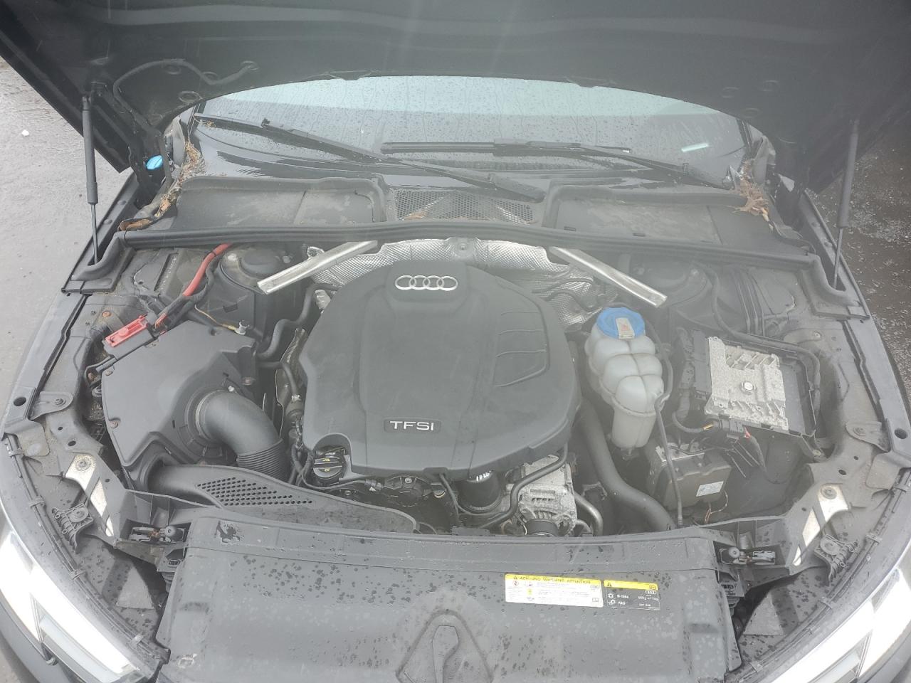 Фото: WAUANAF40HN024462 - 11