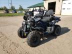 2025 CF MOTO CFORCE 600 TOURING   for sale at Copart MI - KINCHELOE