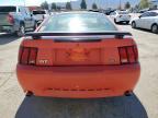 2004 Ford Mustang Gt იყიდება Anthony-ში, TX - Minor Dent/Scratches