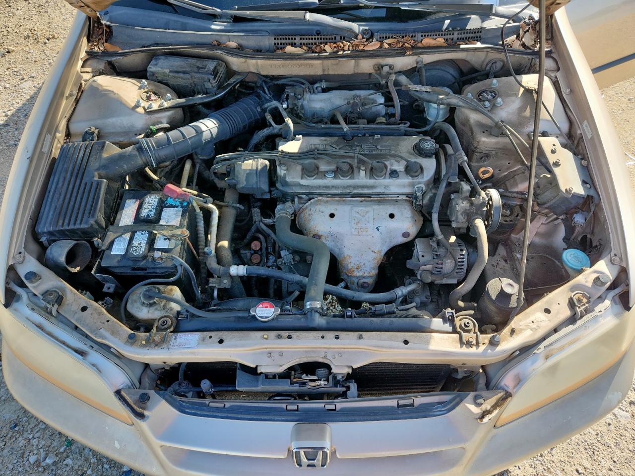 2000 Honda Accord Lx VIN: 1HGCG5640YA091410 Lot: 62014025