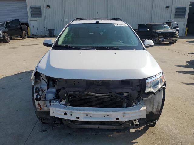 Паркетники FORD EDGE 2013 Белый