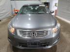 2009 Honda Accord Exl за продажба в Candia, NH - Minor Dent/Scratches