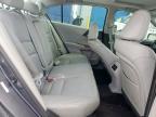 2013 Honda Accord Exl   for Sale in Haslet, TX - Hail