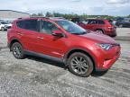 2017 Toyota Rav4 Limited იყიდება Spartanburg-ში, SC - Water/Flood
