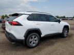 2025 TOYOTA RAV4 XLE   for sale at Copart ON - TORONTO
