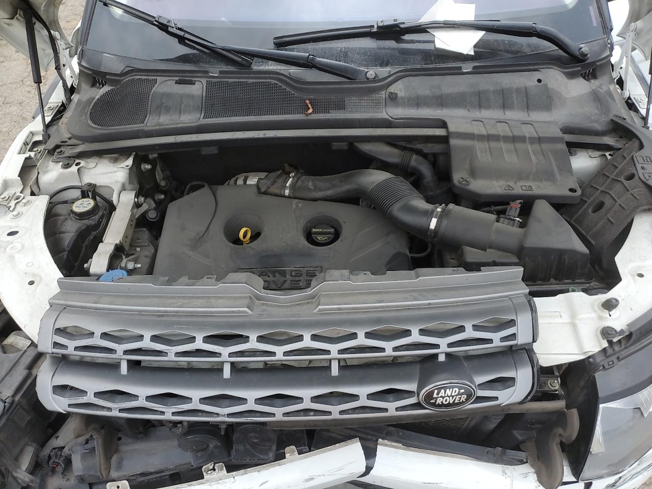 2013 Land Rover Range Rover Evoque Pure Plus VIN: SALVP2BGXDH838804 Lot: 62165725