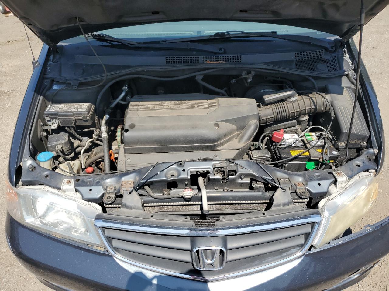HONDA All Models 2004 VIN 5FNRL18874B146014 photo 12