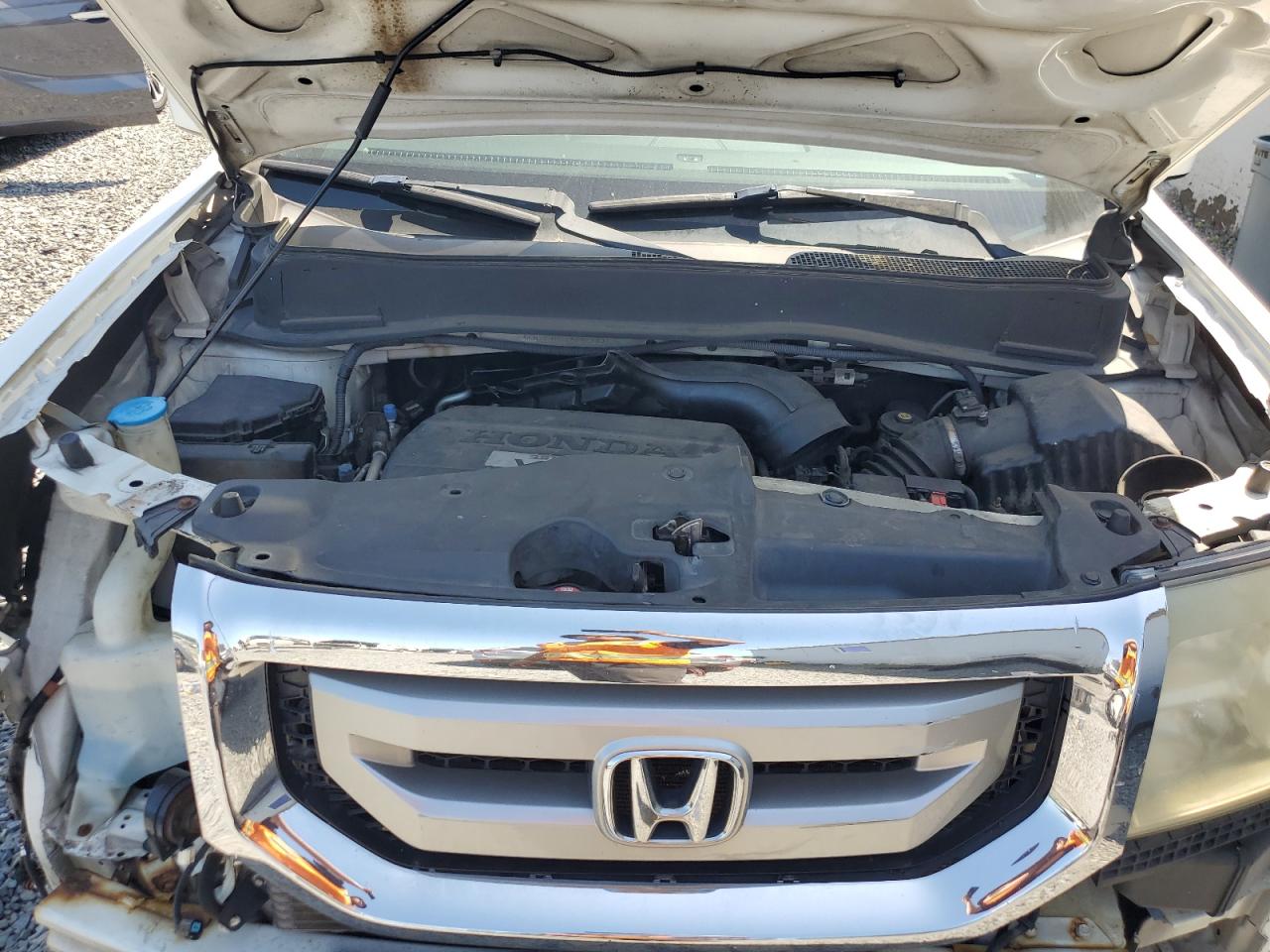 2010 Honda Pilot Exl VIN: 5FNYF4H51AB021631 Lot: 61948965