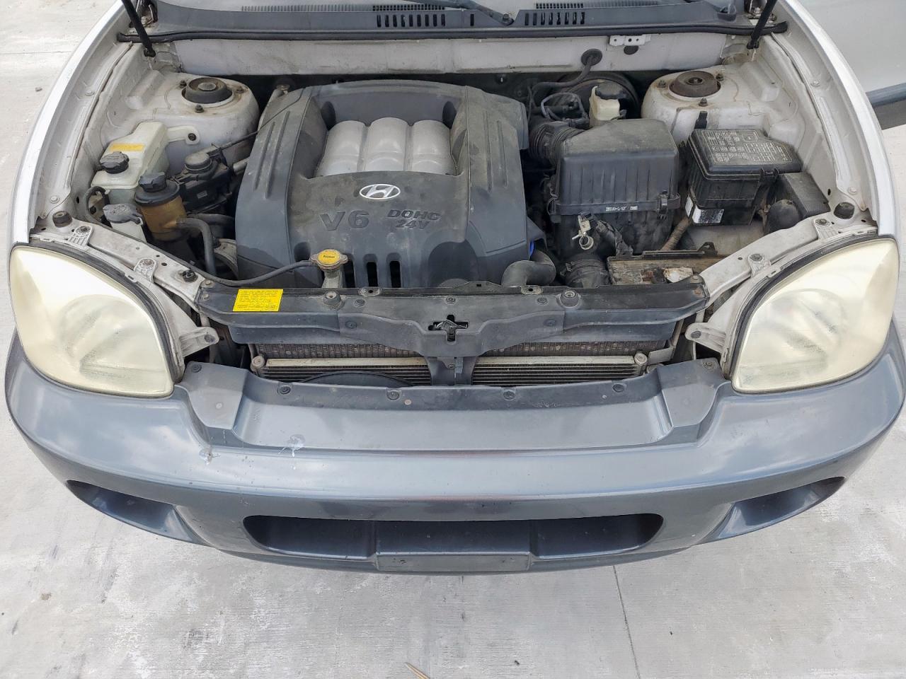 2003 Hyundai Santa Fe Gls VIN: KM8SC13DX3U442040 Lot: 61074175