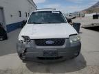 2005 Ford Escape Xlt   for Sale in Farr West, UT - Front End