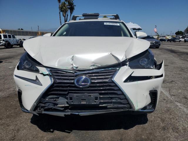  LEXUS NX 2020 Biały