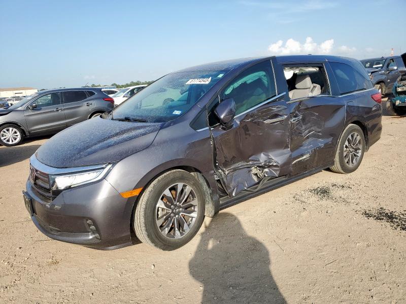 2023 Honda Odyssey Exl