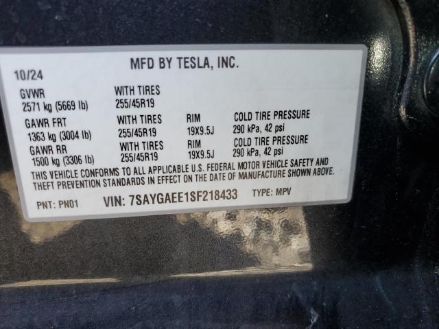 2025 TESLA MODEL Y   