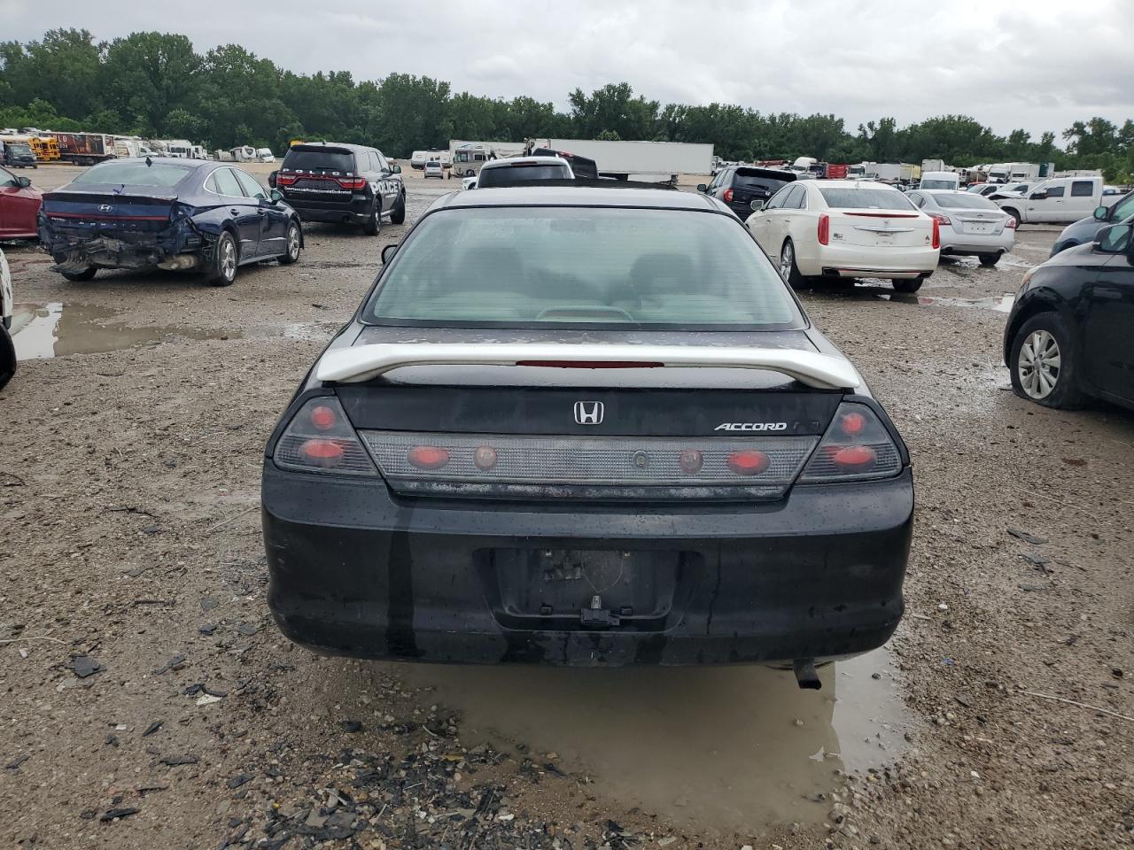 2002 Honda Accord Ex VIN: 1HGCG31582A004445 Lot: 62846405