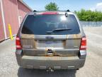 2011 FORD ESCAPE XLT   for sale at Copart ON - LONDON