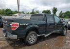 2012 Ford F150 Supercrew for Sale in Chalfont, PA - Side