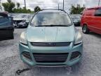 2013 FORD ESCAPE SE   à vendre chez Copart FL - TAMPA SOUTH