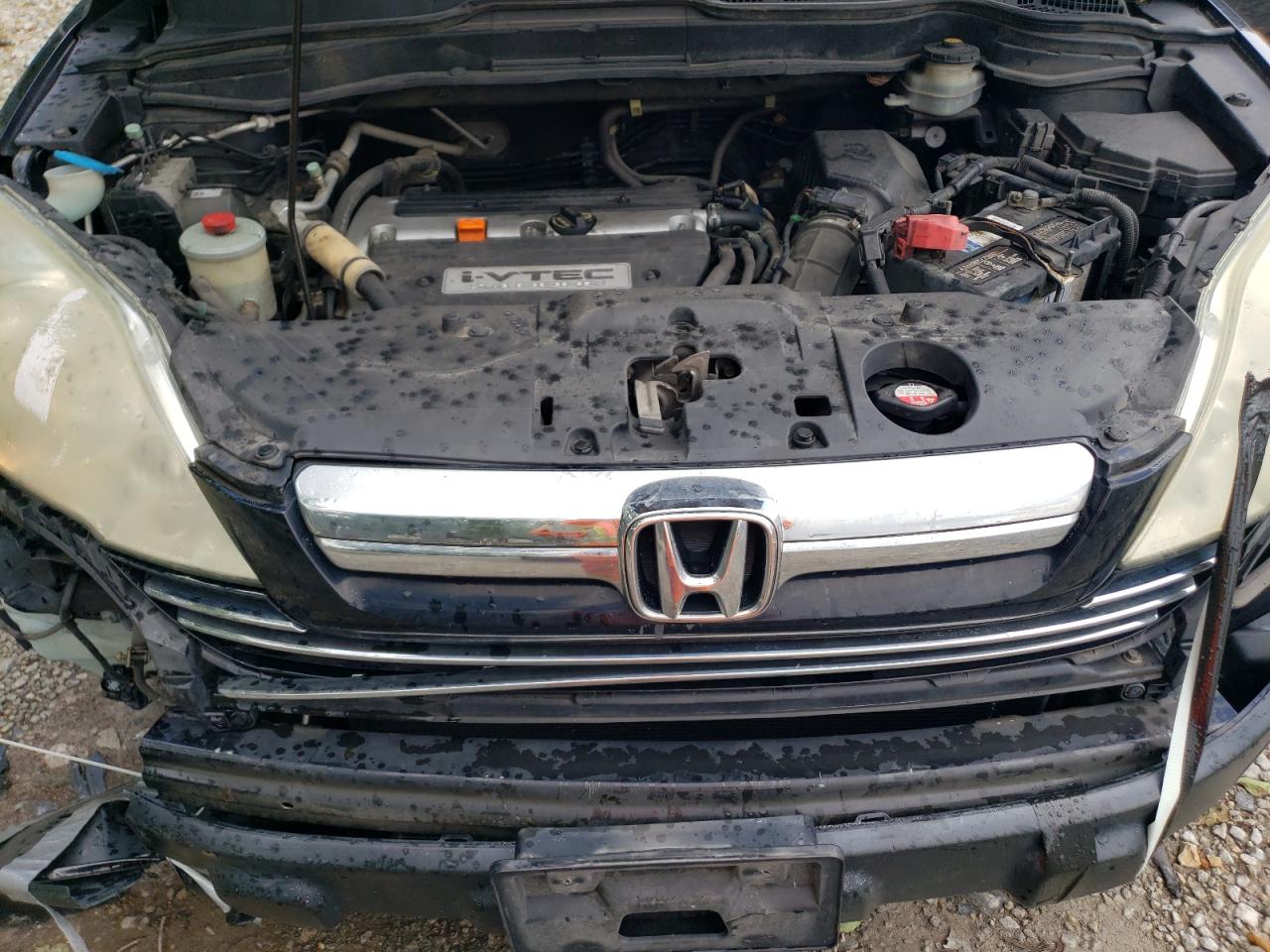 2007 Honda Cr-V Exl VIN: JHLRE48777C094312 Lot: 61185505