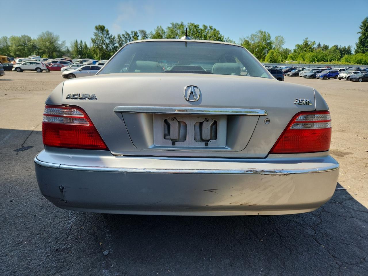 2004 Acura 3.5Rl VIN: JH4KA96664C007169 Lot: 61241685