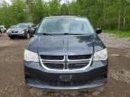 2014 DODGE GRAND CARAVAN SE à vendre chez Copart ON - COOKSTOWN