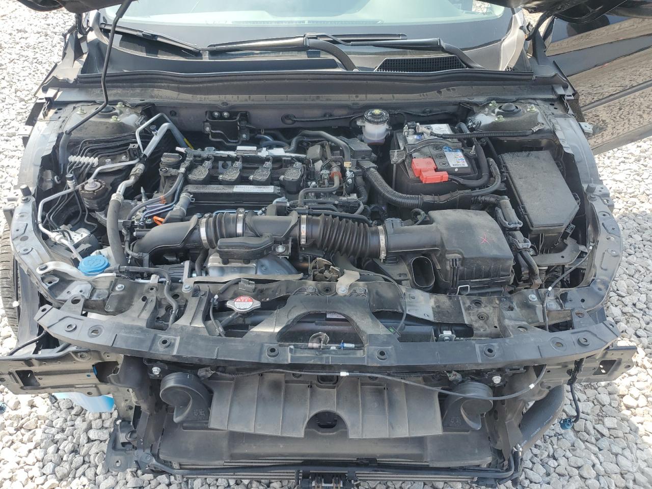 1HGCV1F56KA044347 HONDA ACCORD 2019