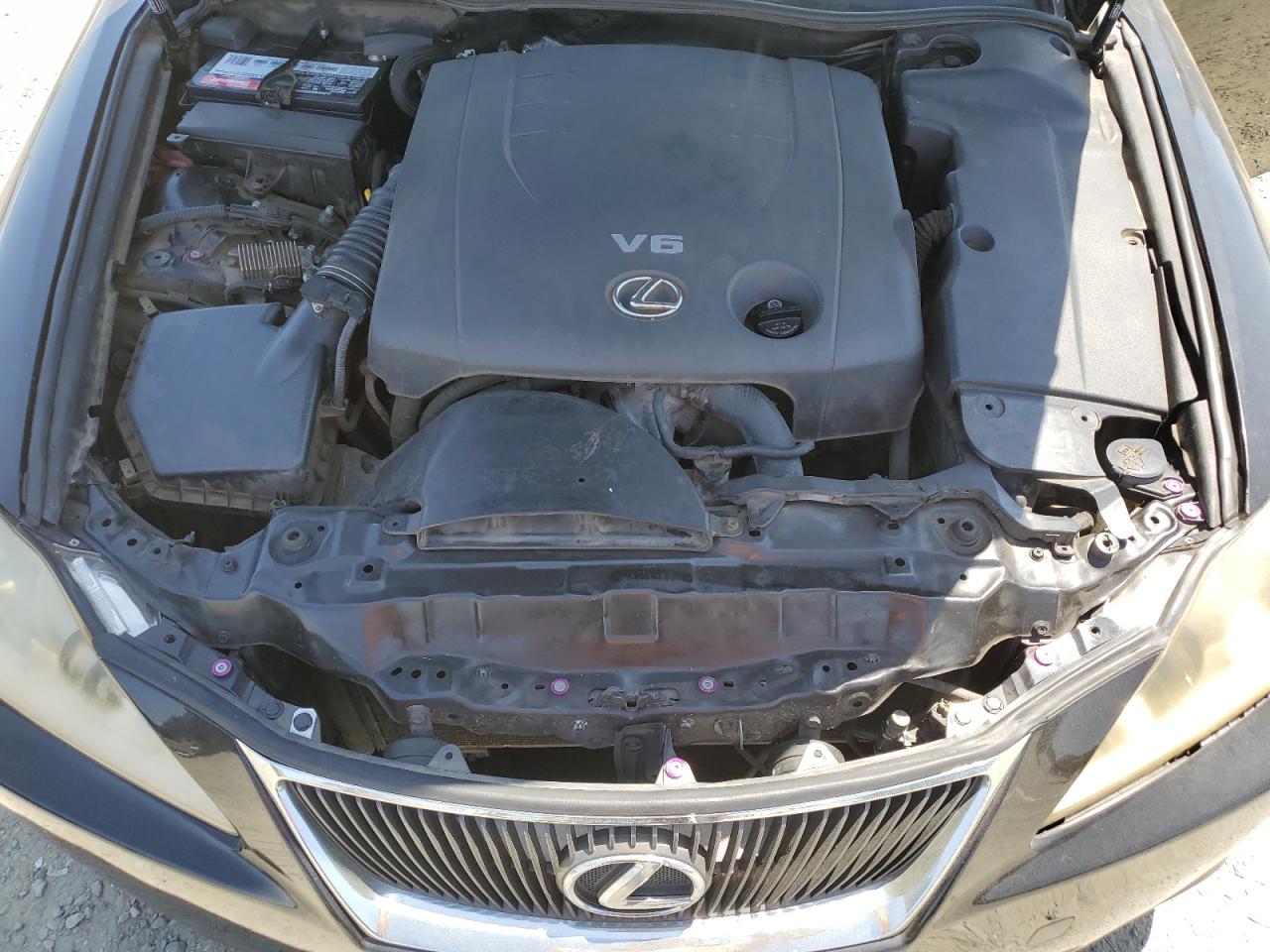 2007 Lexus Is 250 VIN: JTHBK262172049941 Lot: 62213785