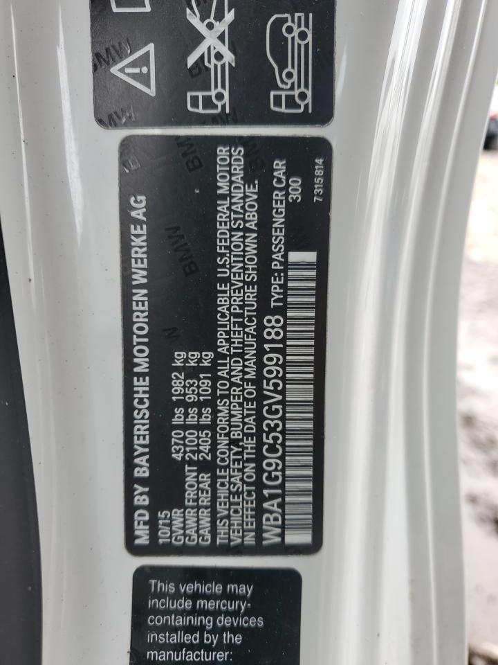 2016 BMW 228 Xi Sulev VIN: WBA1G9C53GV599188 Lot: 59300385
