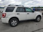 2010 Ford Escape Xlt for Sale in Littleton, CO - Hail