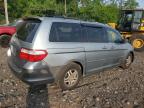 2006 Honda Odyssey Exl للبيع في Marlboro، NY - Normal Wear