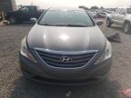 2012 Hyundai Sonata Gls იყიდება Earlington-ში, KY - Hail