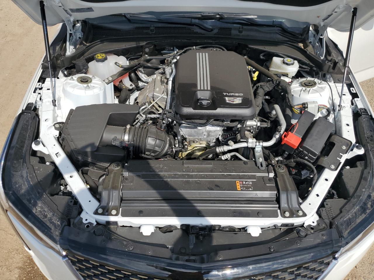 2023 Cadillac Ct4 Premium Luxury VIN: 1G6DF5RK7P0156695 Lot: 62082625