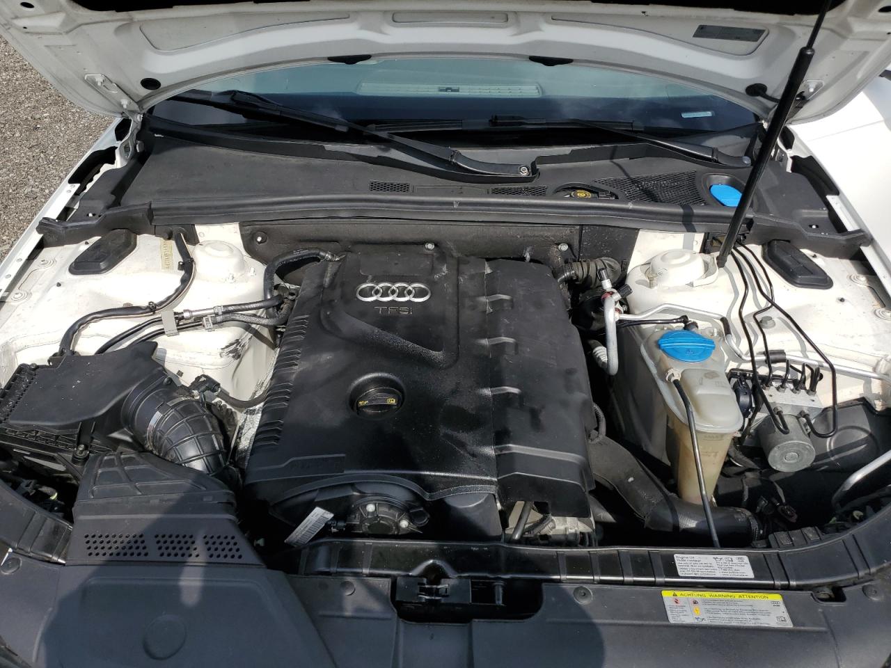 2013 Audi A4 Premium Plus VIN: WAUHFAFL6DA192031 Lot: 62758625