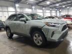 2023 Toyota Rav4 Xle   for Sale in Ham Lake, MN - Front End