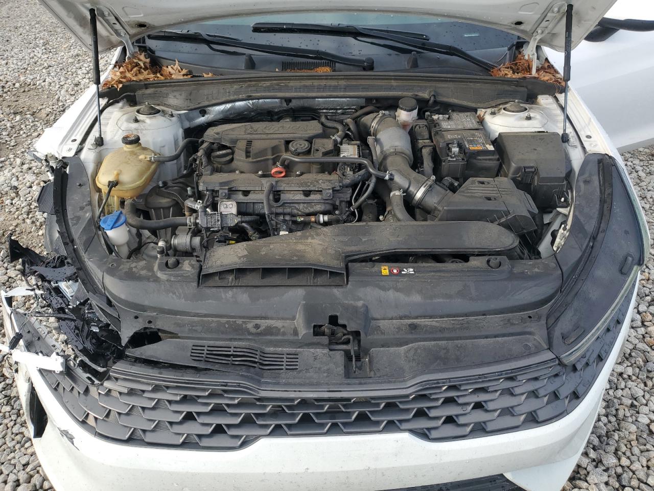 2021 Kia K5 Lxs VIN: 5XXG14J26MG056791 Lot: 62475325