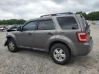 2012 Ford Escape Xlt for Sale in Augusta, GA - Front End