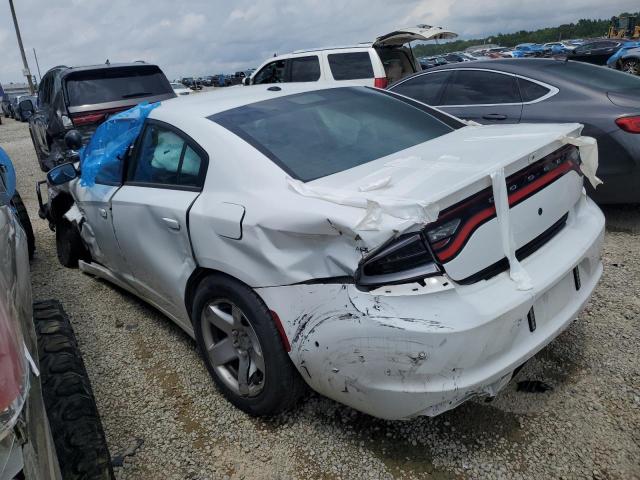  DODGE CHARGER 2019 Два тона